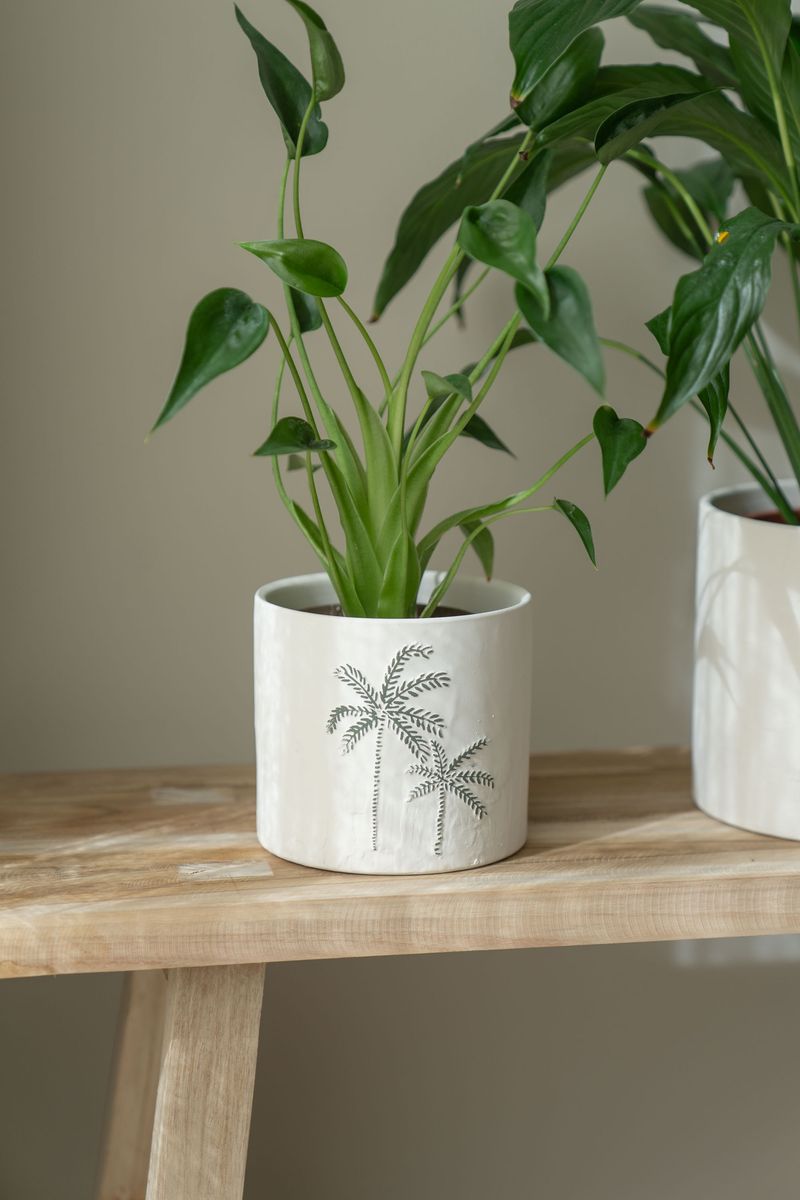Blomsterpotte 3pk Palme Hvit