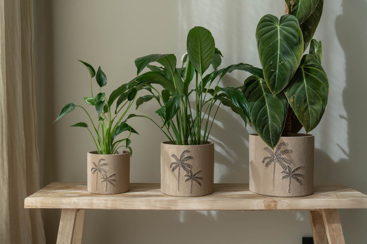 Blomsterpotte 3pk Palme Brun
