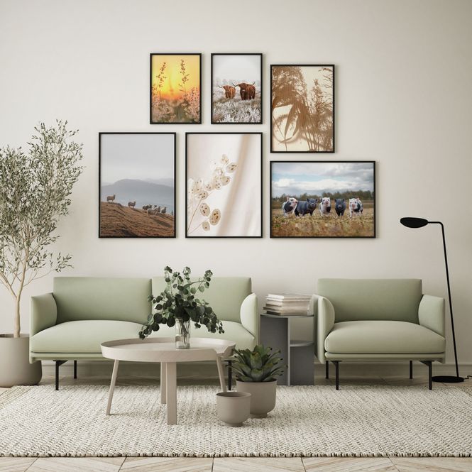 Hovedbilde Poster - Hvit Plante