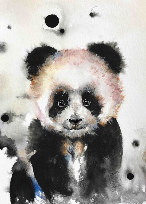 Hovedbilde Poster - Vannmaling Panda