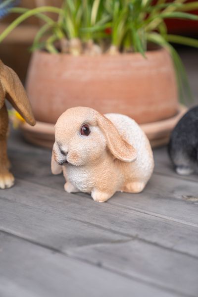 Hovedbilde Kanin – 31,5×16,5×17,5 cm – Hode mot ...