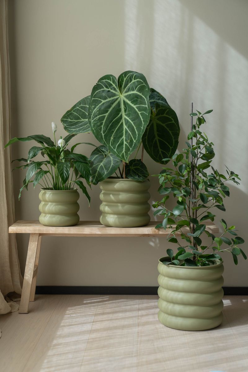 Blomsterpotte galvanisert – 3pk – lys grønn