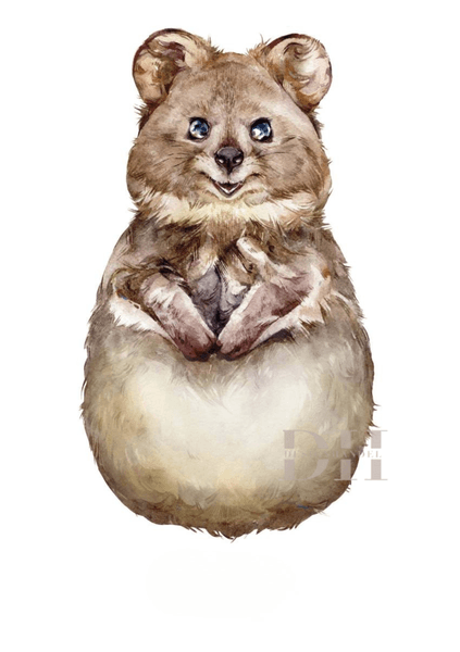 Hovedbilde Poster - Fotspor Quokka