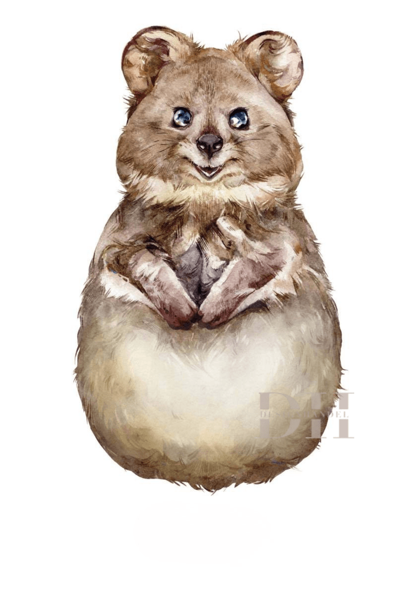 Poster - Fotspor Quokka