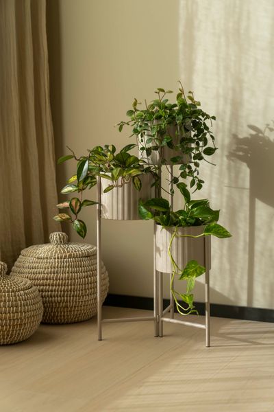 Hovedbilde Blomsterstativ m/3 nivå Brun