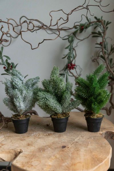 Hovedbilde Kunstig Plante - Tre 22cm Dryss