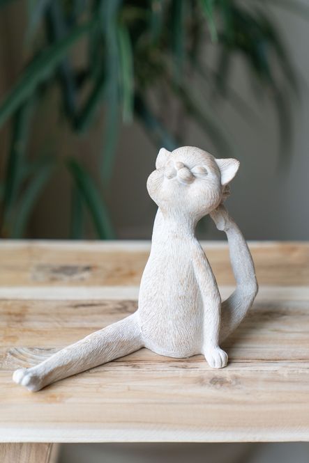 Hovedbilde Yogakatt - Bøy og Tøy