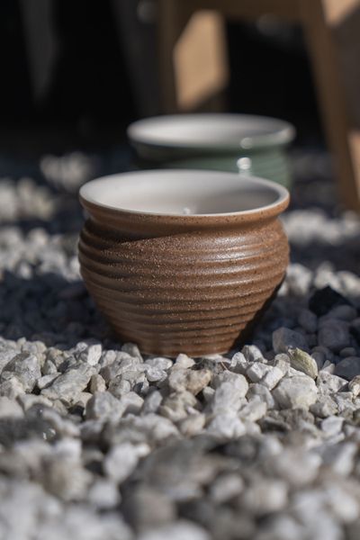Hovedbilde Citronella- Mygglys i potte – brun
