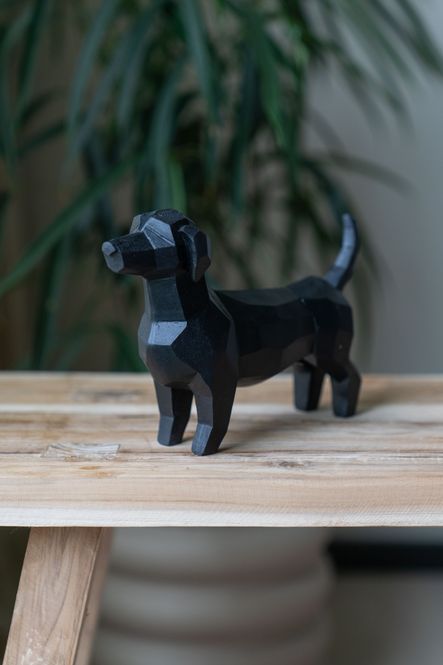 Hovedbilde Dachshund - Svart