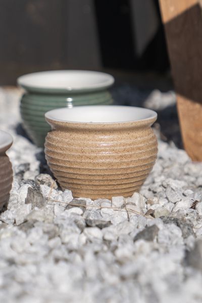 Hovedbilde Citronella- Mygglys i potte – sand