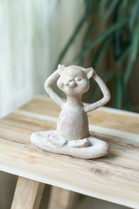 Hovedbilde Yogakatt - Avslappet