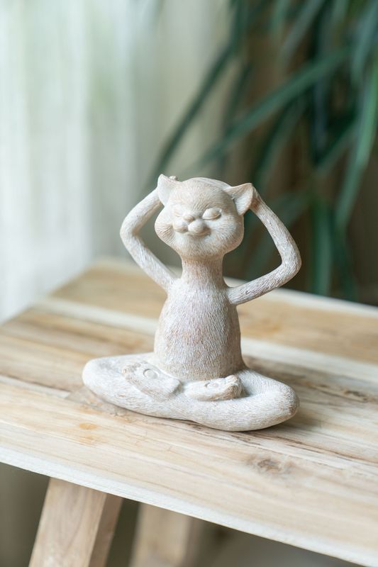 Yogakatt - Avslappet