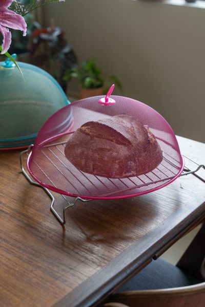 Hovedbilde Matdeksel metall – Ø35×H14 cm – Rosa