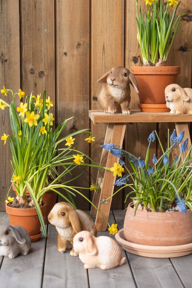 Kanin – 21×13,5×17 cm – Brunt Ansikt