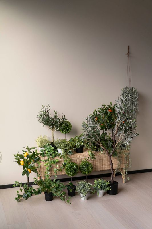 Hengeplante 80cm Grønn