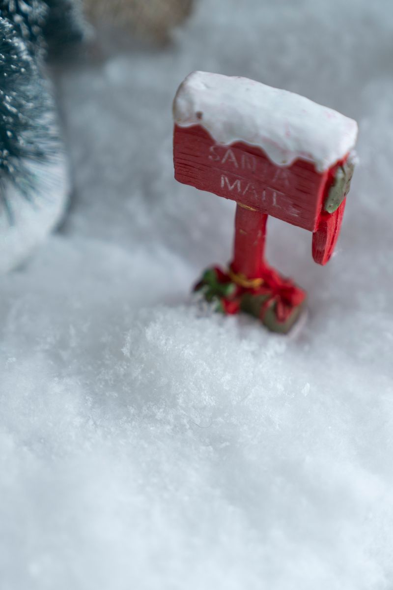 Bio Dekor Snø 2L