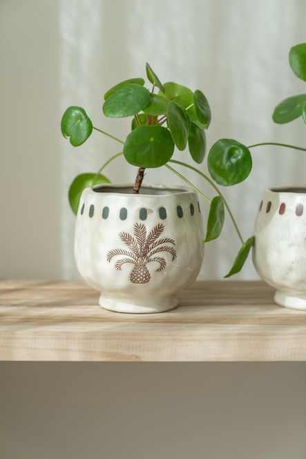 Hovedbilde Blomsterpotte tropisk - Ø13,5cm Brun Plante