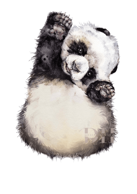 Hovedbilde Poster - Fotspor Panda