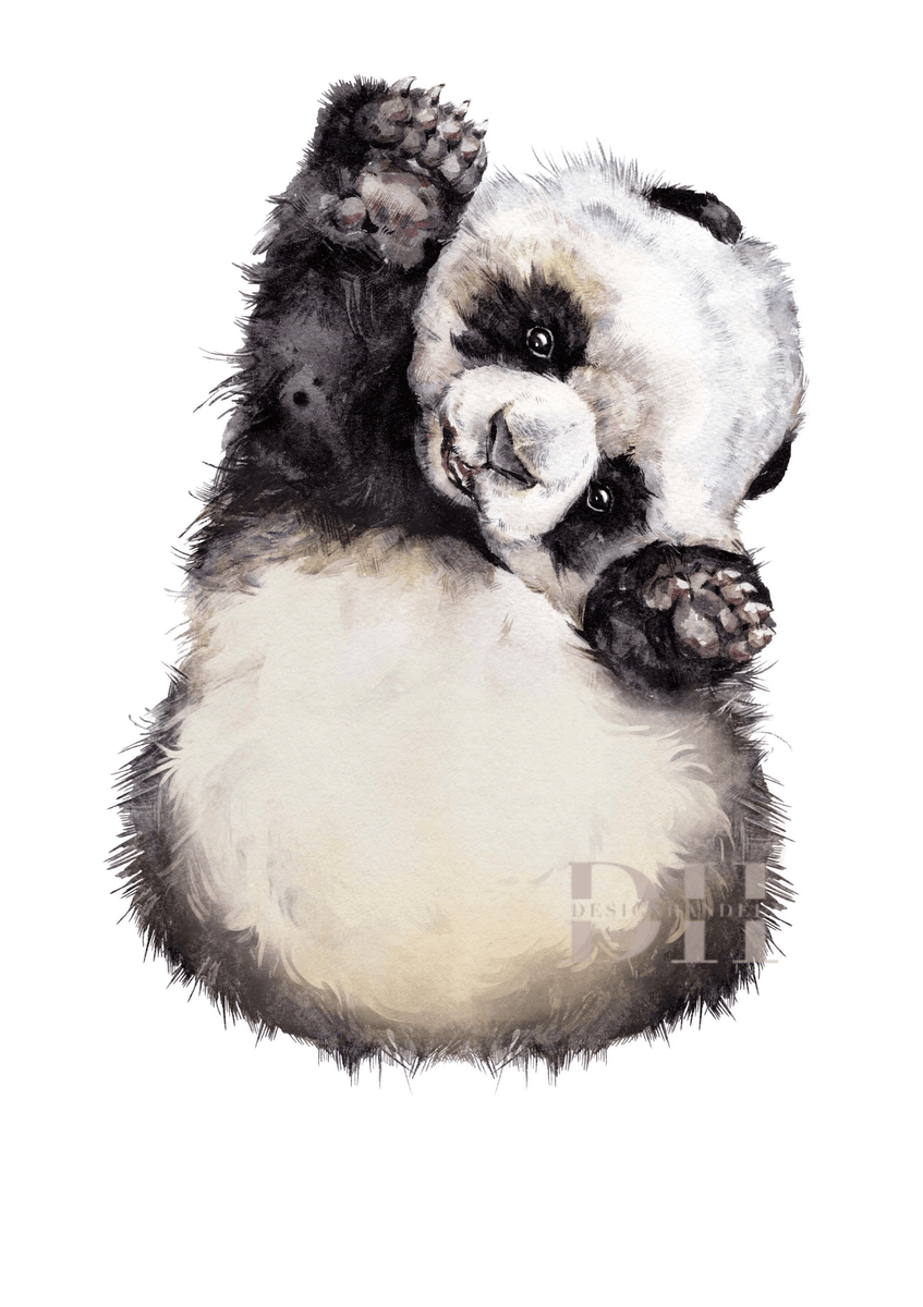 Poster - Fotspor Panda