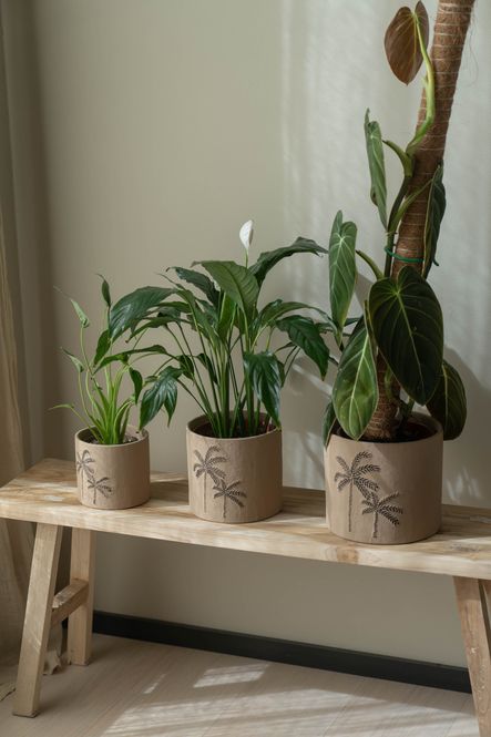 Hovedbilde Blomsterpotte 3pk Palme Brun