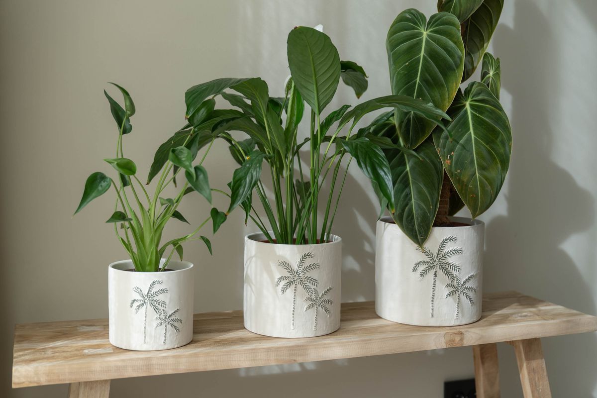 Blomsterpotte 3pk Palme Hvit