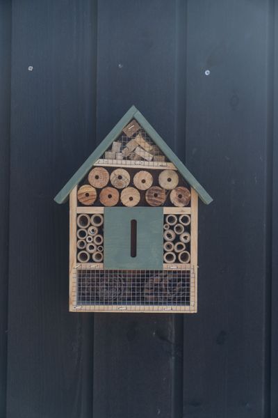 Hovedbilde Insekthotell tre – 22×9×29 cm – grønn