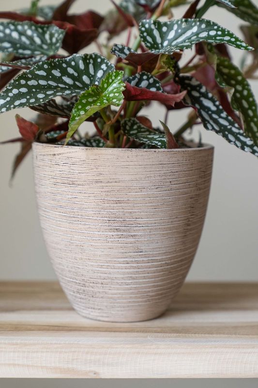 Blomsterpotte 3pk Beige Rustikk
